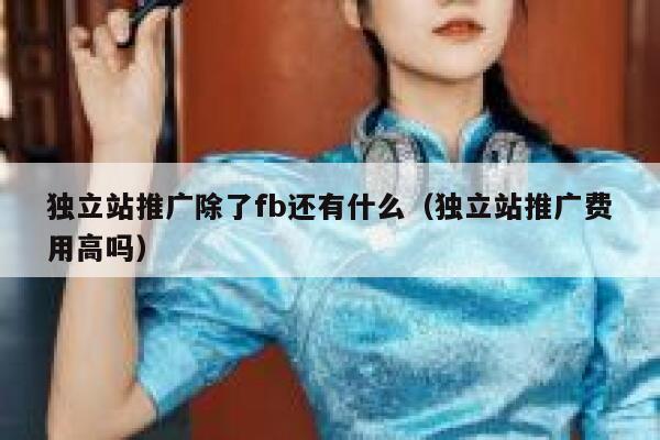 独立站推广除了fb还有什么（独立站推广费用高吗） 第1张