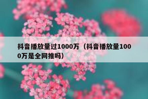 抖音播放量过1000万（抖音播放量1000万是全网推吗） 第1张