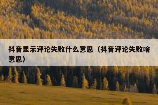 抖音显示评论失败什么意思（抖音评论失败啥意思） 第1张
