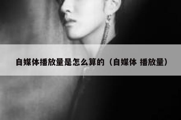 自媒体播放量是怎么算的（自媒体 播放量） 第1张