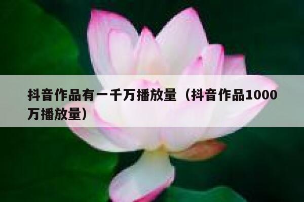 抖音作品有一千万播放量（抖音作品1000万播放量） 第1张