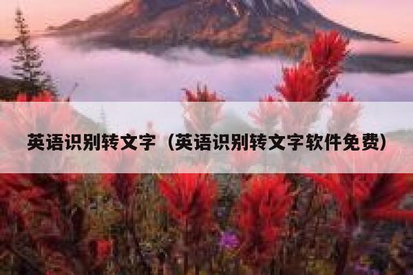 英语识别转文字（英语识别转文字软件免费） 第1张