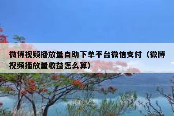 微博视频播放量自助下单平台微信支付（微博视频播放量收益怎么算） 第1张