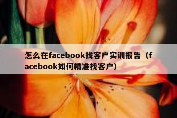 怎么在facebook找客户实训报告（facebook如何精准找客户） 第1张