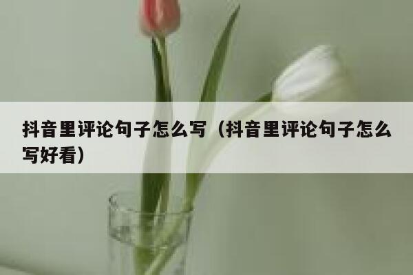 抖音里评论句子怎么写（抖音里评论句子怎么写好看） 第1张