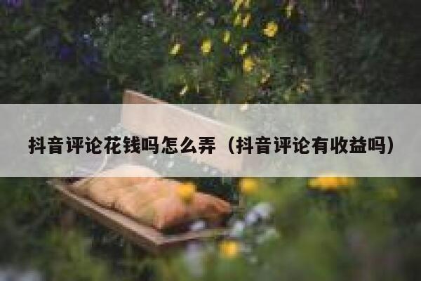 抖音评论花钱吗怎么弄(抖音评论有收益吗) 第1张 抖音评论花钱吗怎么弄(抖音评论有收益吗) 第1张