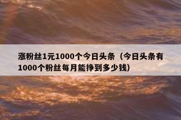 涨粉丝1元1000个今日头条(今日头条有1000个粉丝每月能挣到多少钱) 第1张 涨粉丝1元1000个今日头条(今日头条有1000个粉丝每月能挣到多少钱) 第1张