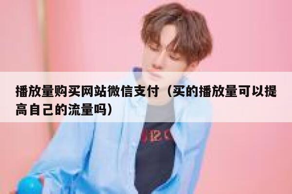 播放量购买网站微信支付（买的播放量可以提高自己的流量吗） 第1张