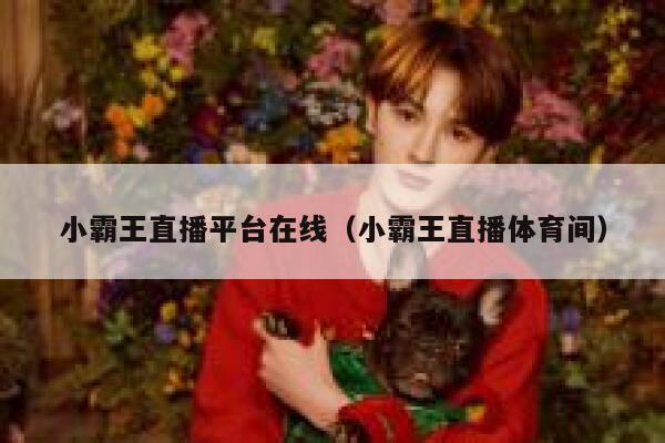 小霸王直播平台在线（小霸王直播体育间） 第1张