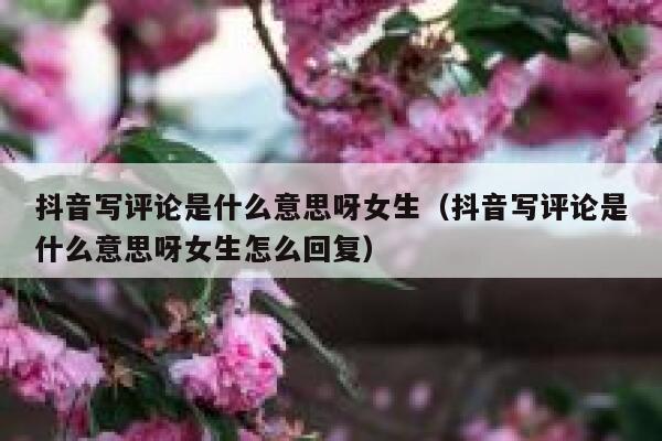 抖音写评论是什么意思呀女生（抖音写评论是什么意思呀女生怎么回复） 第1张