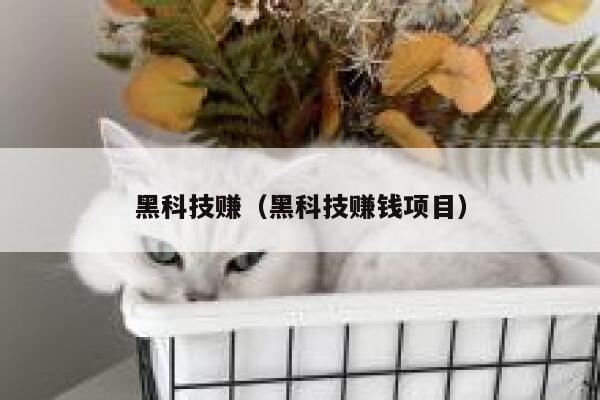 黑科技赚（黑科技赚钱项目） 第1张