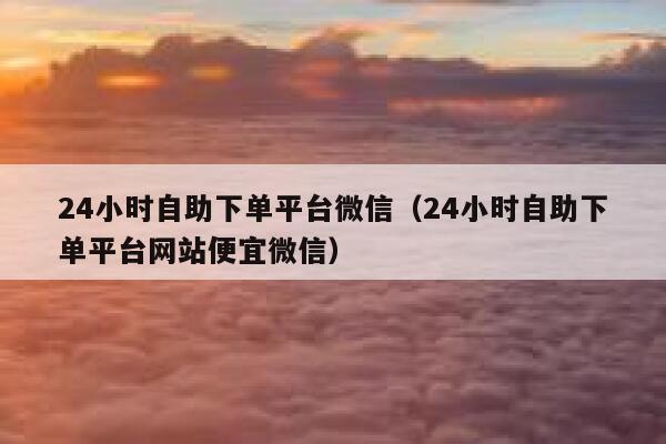 24小时自助下单平台微信(24小时自助下单平台网站便宜微信) 第1张 24小时自助下单平台微信(24小时自助下单平台网站便宜微信) 第1张