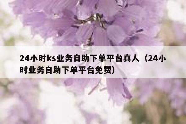 24小时ks业务自助下单平台真人(24小时业务自助下单平台免费) 第1张 24小时ks业务自助下单平台真人(24小时业务自助下单平台免费) 第1张
