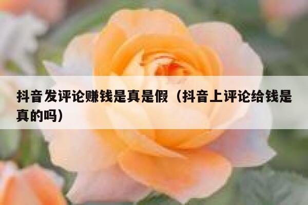 抖音发评论赚钱是真是假（抖音上评论给钱是真的吗） 第1张