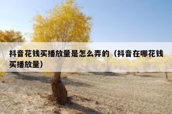 抖音花钱买播放量是怎么弄的（抖音在哪花钱买播放量） 第1张
