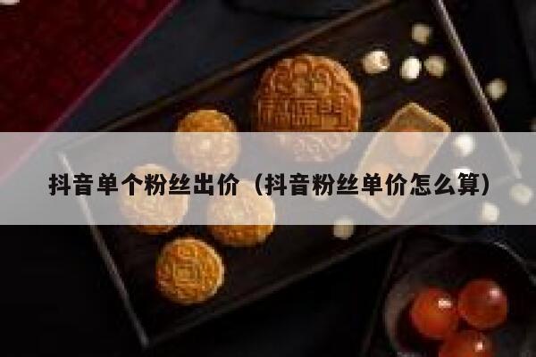 抖音单个粉丝出价（抖音粉丝单价怎么算） 第1张