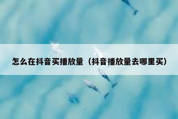 怎么在抖音买播放量（抖音播放量去哪里买） 第1张