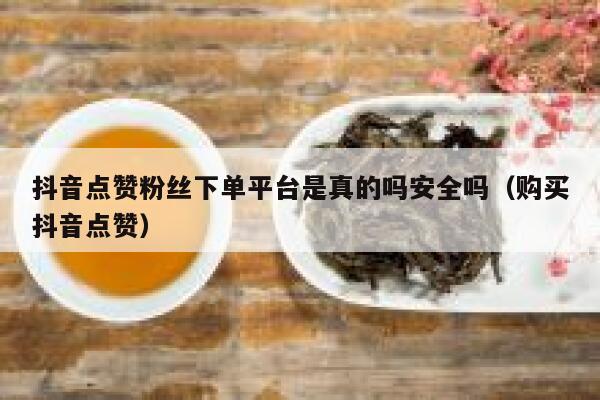 抖音点赞粉丝下单平台是真的吗安全吗（购买抖音点赞） 第1张