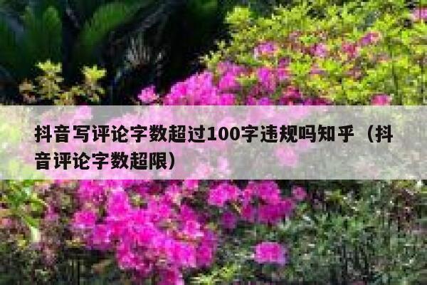 抖音写评论字数超过100字违规吗知乎（抖音评论字数超限） 第1张