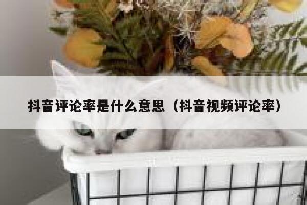 抖音评论率是什么意思（抖音视频评论率） 第1张
