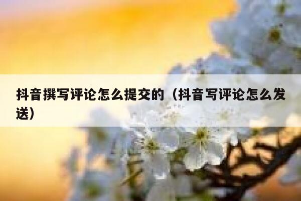 抖音撰写评论怎么提交的（抖音写评论怎么发送） 第1张