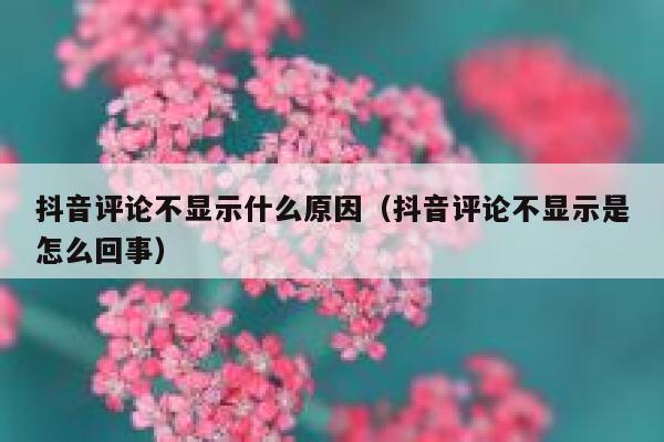 抖音评论不显示什么原因（抖音评论不显示是怎么回事） 第1张
