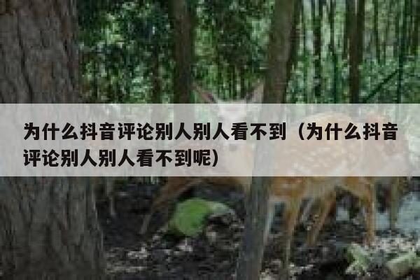 为什么抖音评论别人别人看不到（为什么抖音评论别人别人看不到呢） 第1张