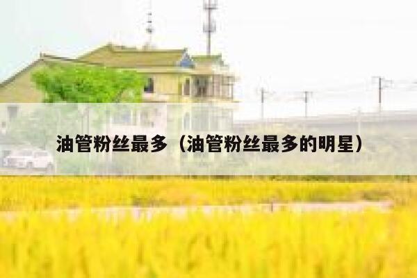 油管粉丝最多（油管粉丝最多的明星） 第1张