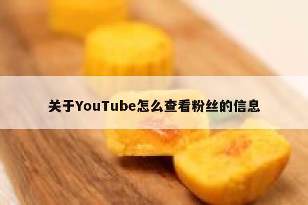 关于YouTube怎么查看粉丝的信息 第1张