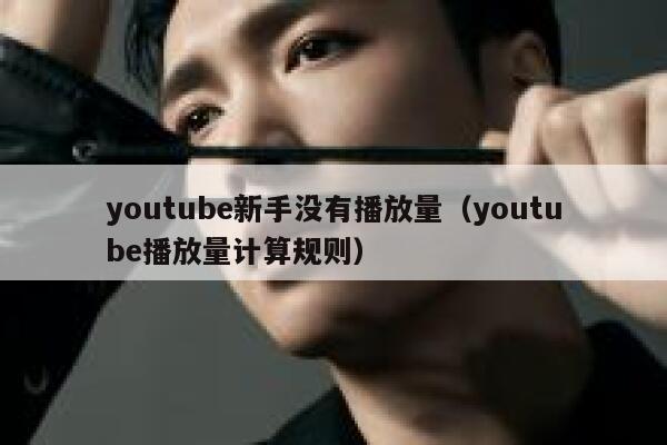 youtube新手没有播放量（youtube播放量计算规则） 第1张