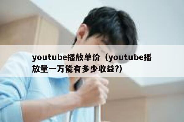 youtube播放单价（youtube播放量一万能有多少收益?） 第1张