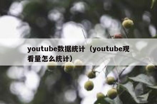 youtube数据统计（youtube观看量怎么统计） 第1张