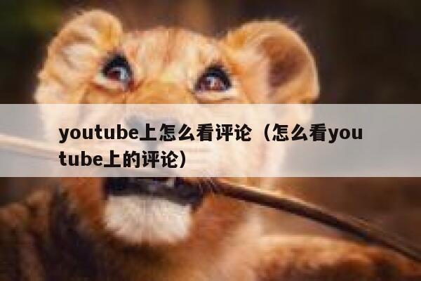 youtube上怎么看评论（怎么看youtube上的评论） 第1张