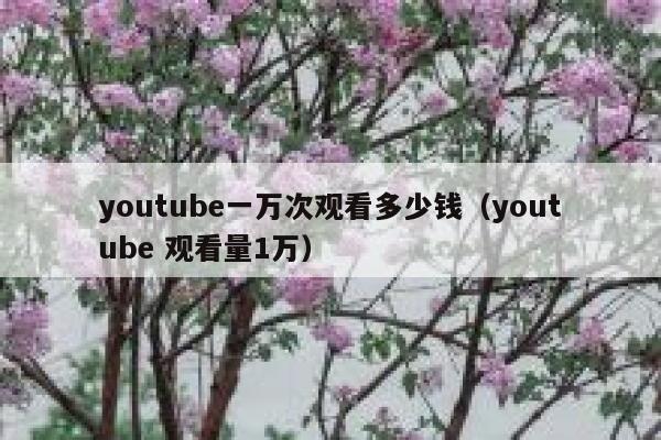 youtube一万次观看多少钱（youtube 观看量1万） 第1张