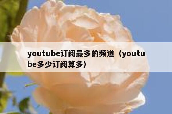 youtube订阅最多的频道（youtube多少订阅算多） 第1张
