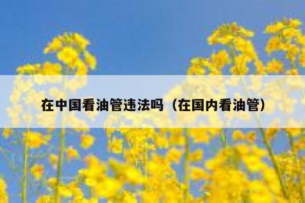 在中国看油管违法吗（在国内看油管） 第1张