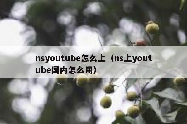 nsyoutube怎么上（ns上youtube国内怎么用） 第1张