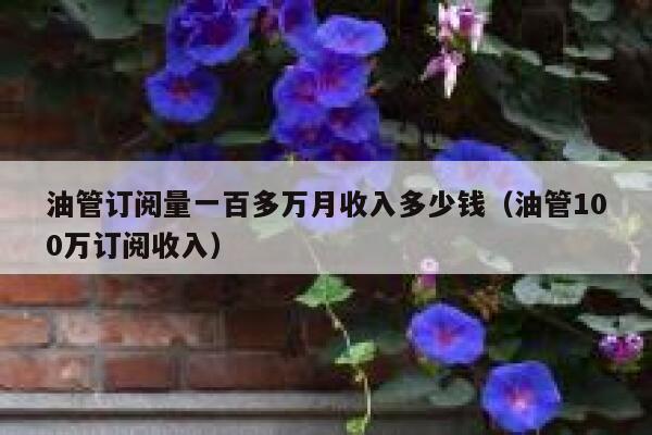 油管订阅量一百多万月收入多少钱（油管100万订阅收入） 第1张