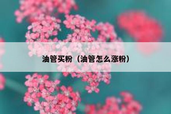 油管买粉（油管怎么涨粉） 第1张
