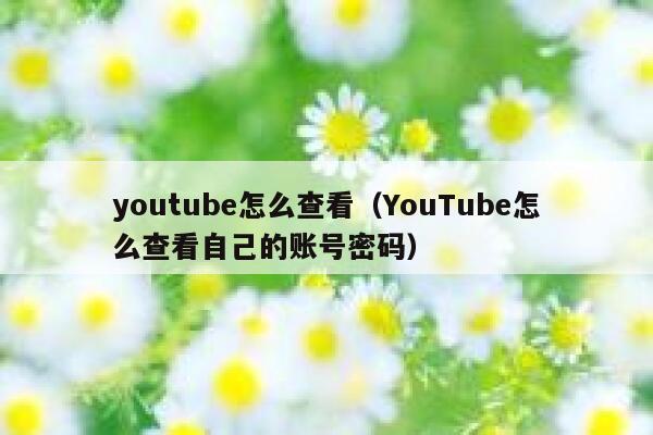 youtube怎么查看（YouTube怎么查看自己的账号密码） 第1张