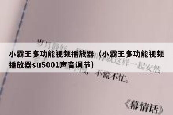 小霸王多功能视频播放器（小霸王多功能视频播放器su5001声音调节） 第1张