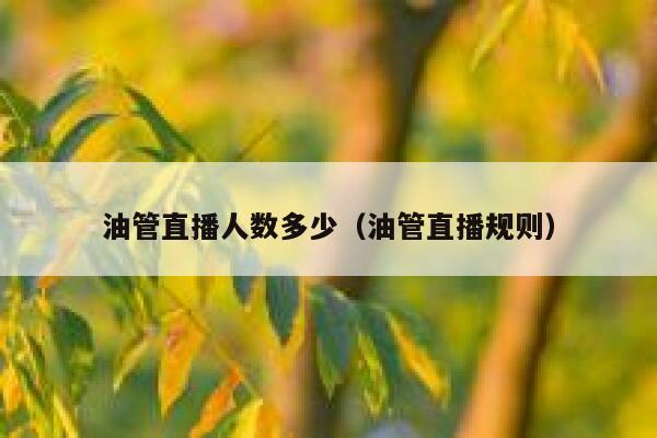 油管直播人数多少（油管直播规则） 第1张