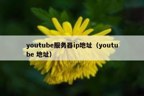 youtube服务器ip地址（youtube 地址） 第1张