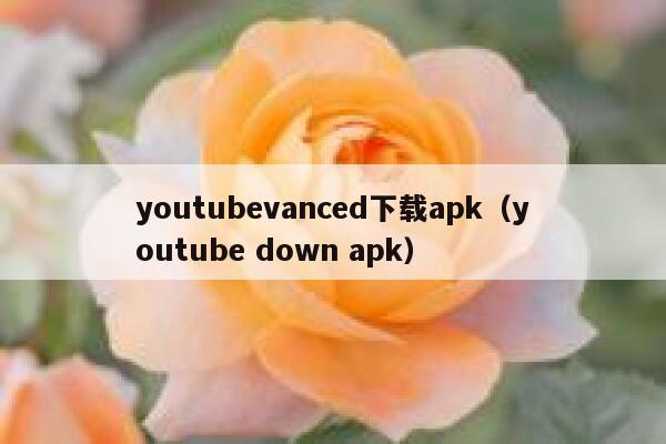 youtubevanced下载apk（youtube down apk） 第1张