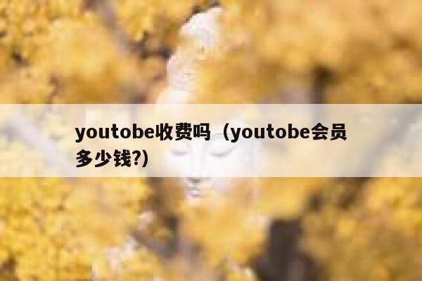 youtobe收费吗（youtobe会员多少钱?） 第1张
