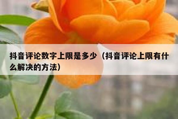 抖音评论数字上限是多少（抖音评论上限有什么解决的方法） 第1张