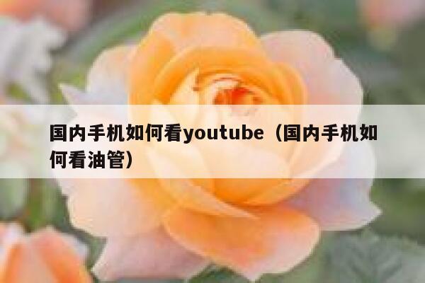 国内手机如何看youtube（国内手机如何看油管） 第1张
