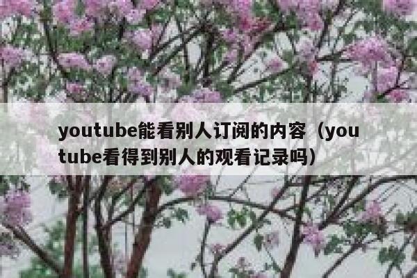 youtube能看别人订阅的内容（youtube看得到别人的观看记录吗） 第1张