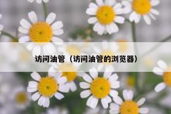 访问油管（访问油管的浏览器） 第1张