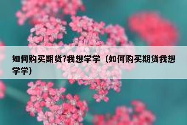 如何购买期货?我想学学（如何购买期货我想学学） 第1张